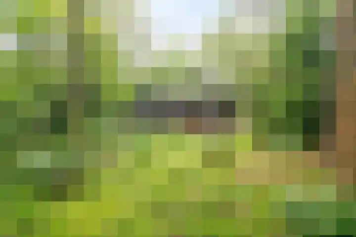 Hogeveldsweg 26 322 Giethmen thumbnail 27