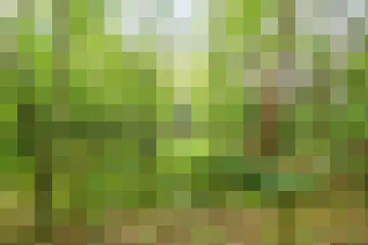 Hogeveldsweg 26 322 Giethmen thumbnail 28
