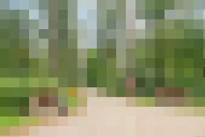 Hogeveldsweg 26 322 Giethmen thumbnail 29
