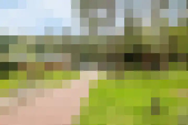 Hogeveldsweg 26 322 Giethmen thumbnail 30