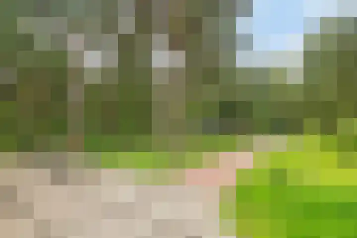 Hogeveldsweg 26 322 Giethmen thumbnail 33