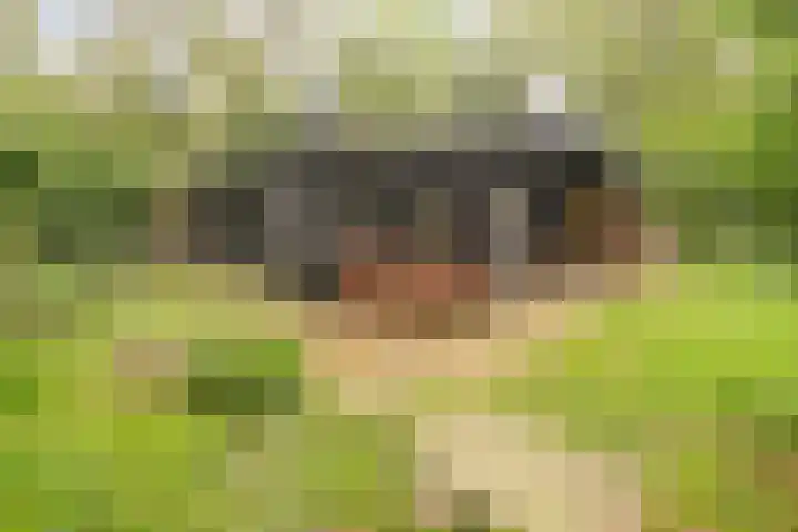 Hogeveldsweg 26 322 Giethmen thumbnail 35
