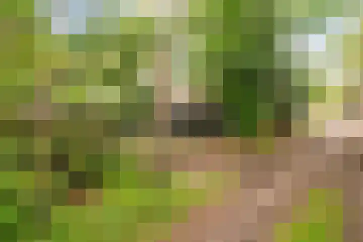 Hogeveldsweg 26 322 Giethmen thumbnail 4