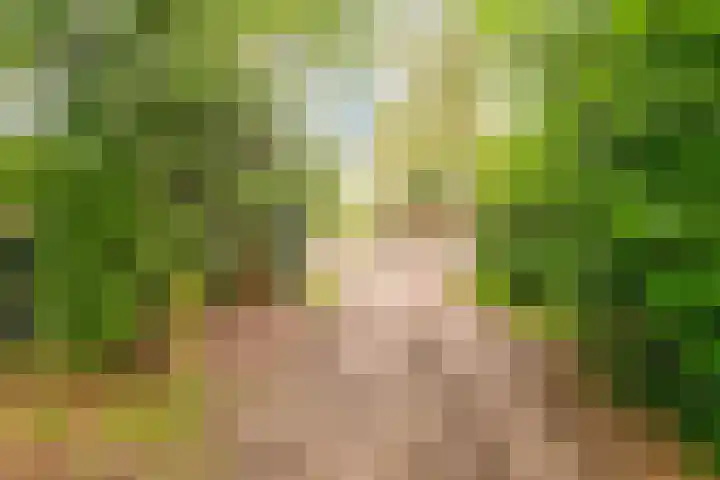 Hogeveldsweg 26 322 Giethmen thumbnail 5