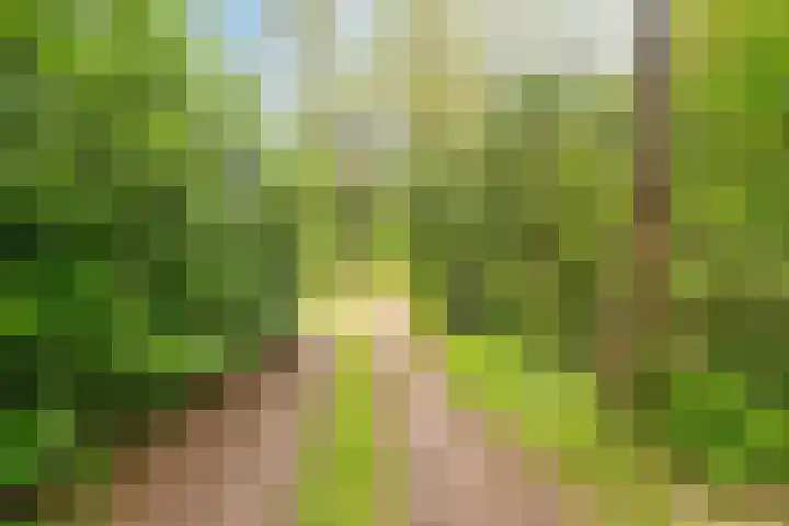 Hogeveldsweg 26 322 Giethmen thumbnail 6