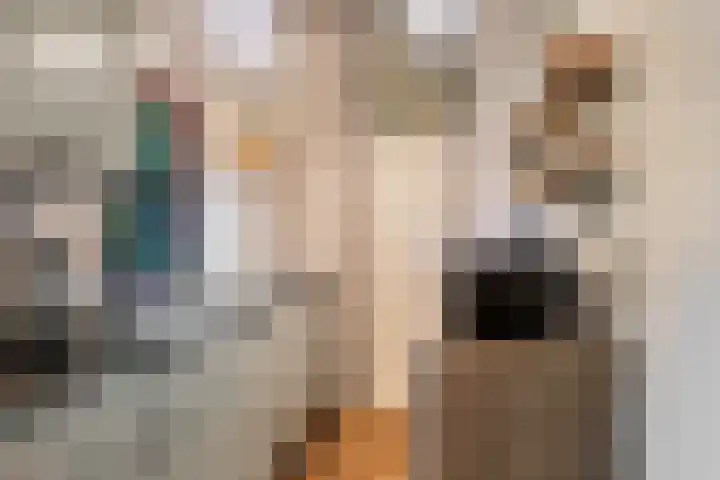 Hogeveldsweg 26 322 Giethmen thumbnail 9