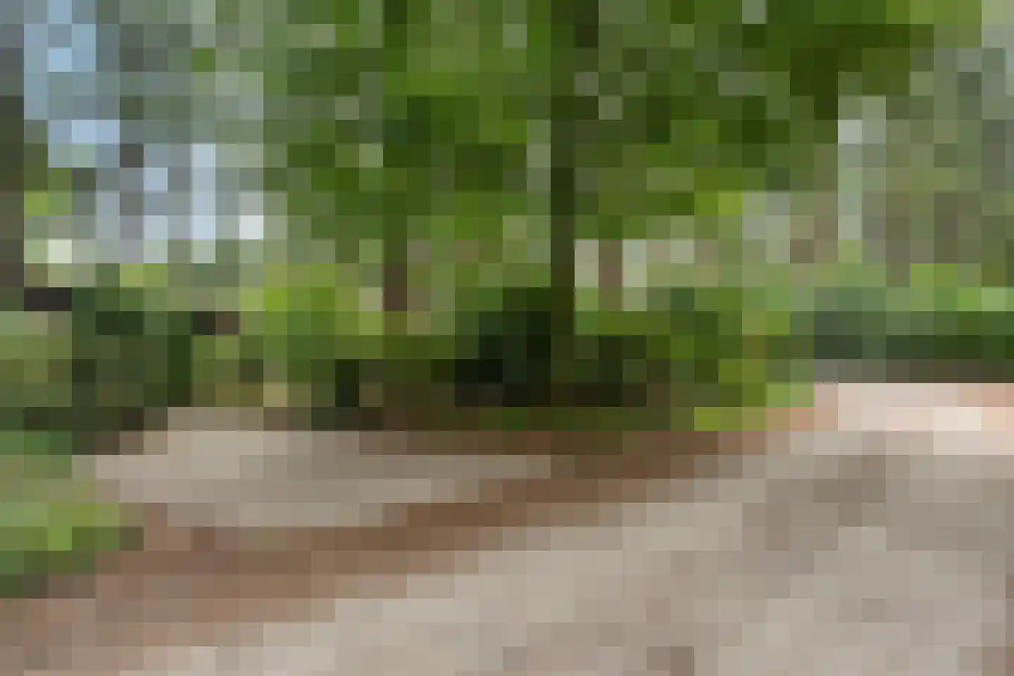 Hogeveldsweg 26 323 Giethmen thumbnail 18
