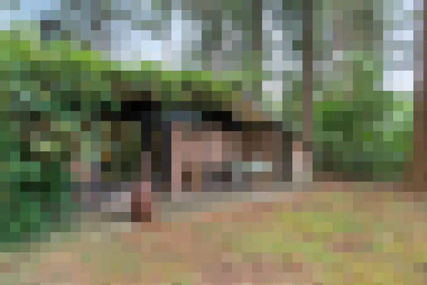 Hogeveldsweg 26 323 Giethmen thumbnail 19