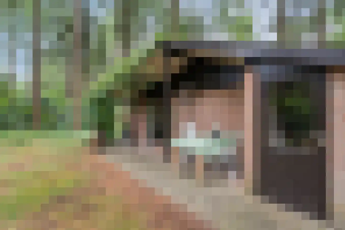 Hogeveldsweg 26 323 Giethmen thumbnail 20