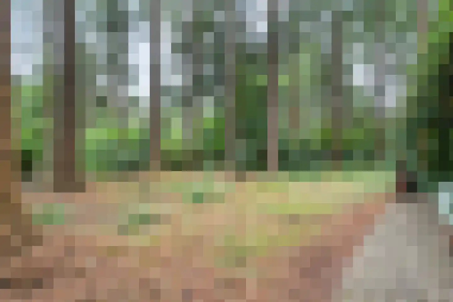 Hogeveldsweg 26 323 Giethmen thumbnail 21
