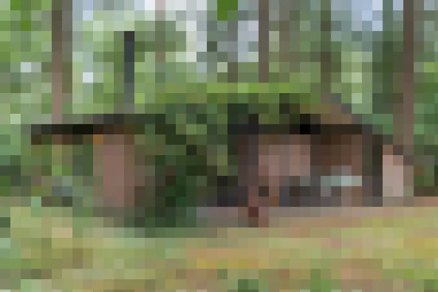 Hogeveldsweg 26 323 Giethmen thumbnail 22
