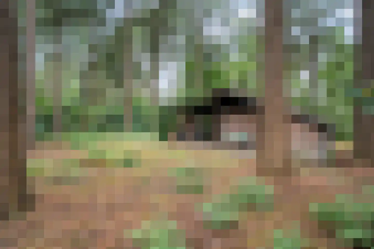 Hogeveldsweg 26 323 Giethmen thumbnail 23