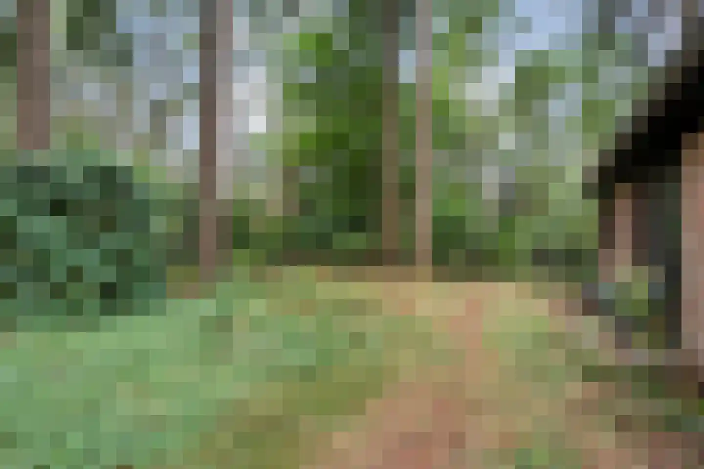 Hogeveldsweg 26 323 Giethmen thumbnail 25