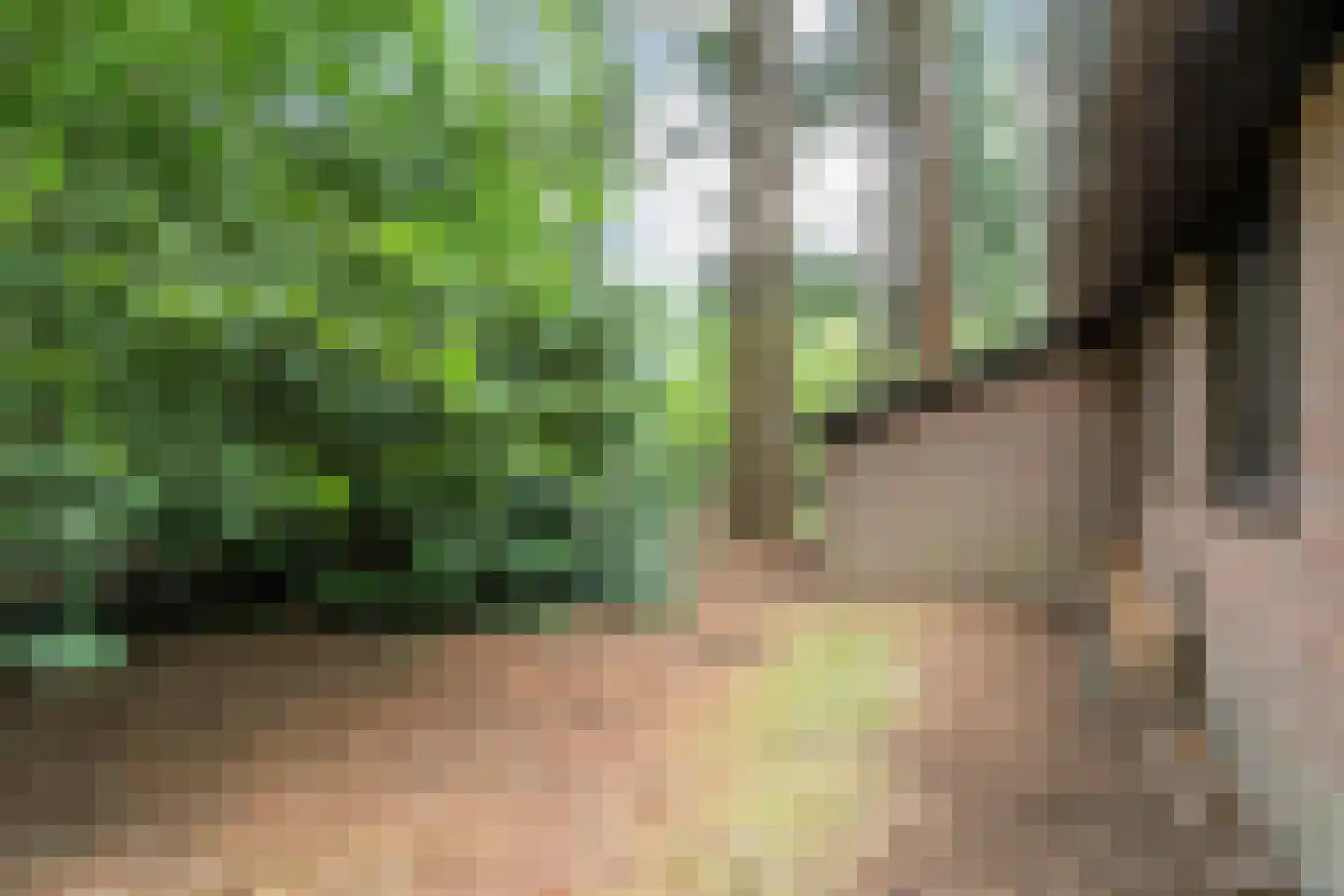 Hogeveldsweg 26 323 Giethmen thumbnail 28