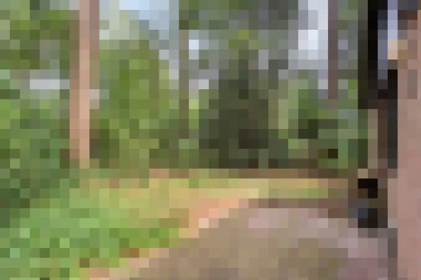 Hogeveldsweg 26 323 Giethmen thumbnail 30