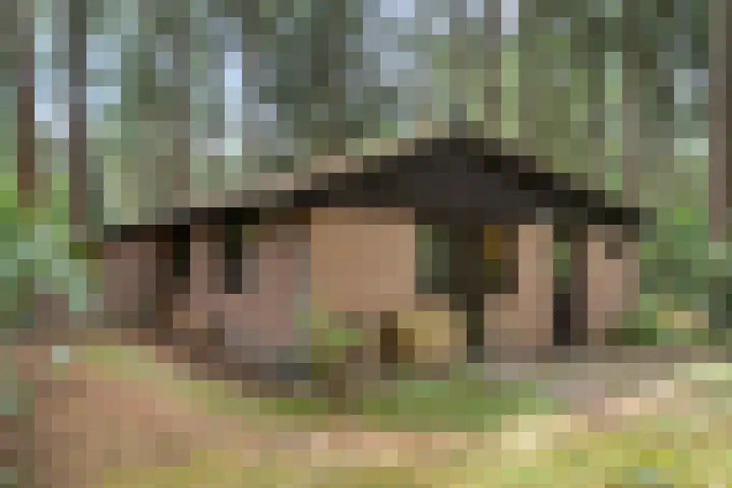 Hogeveldsweg 26 323 Giethmen thumbnail 31