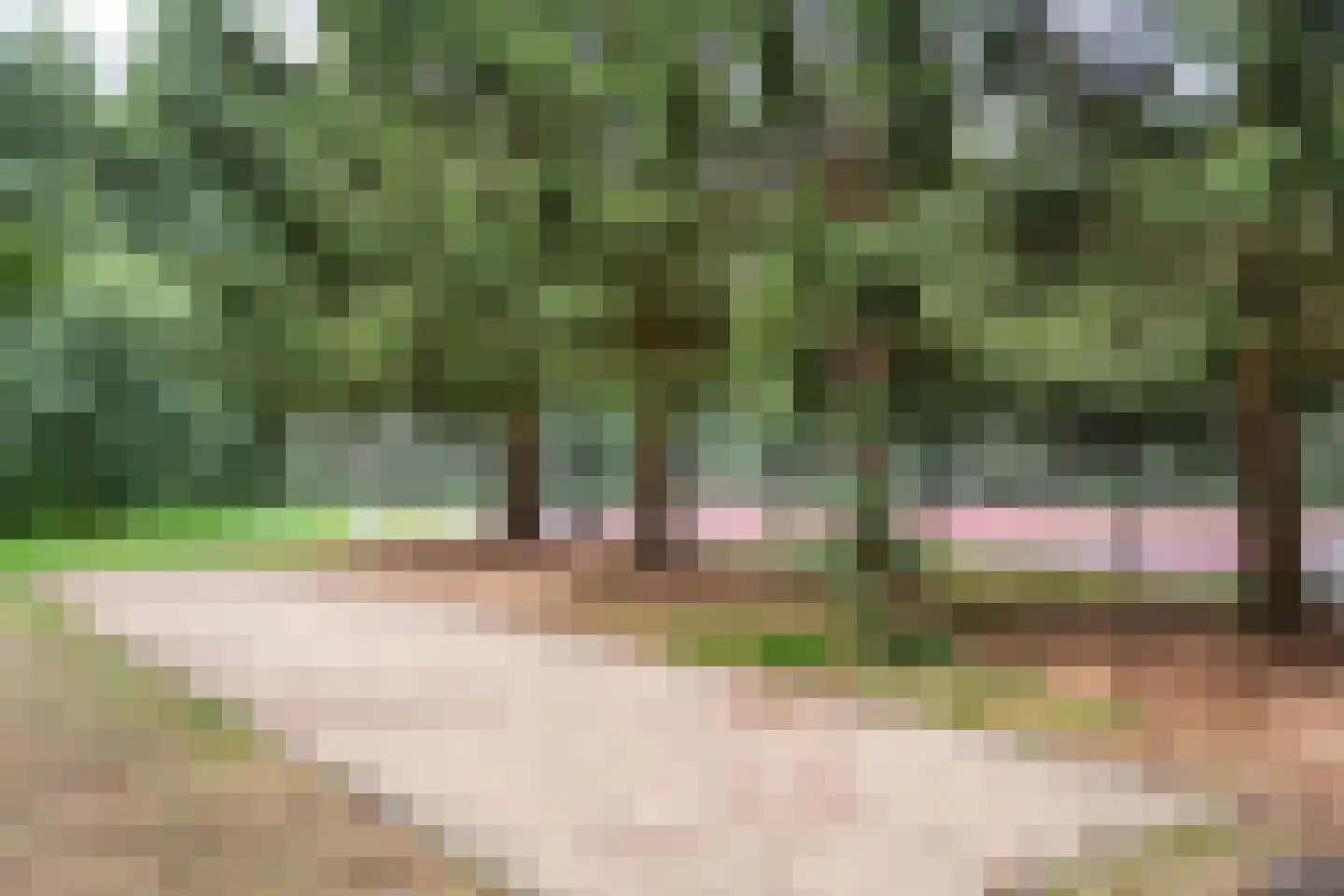Hogeveldsweg 26 323 Giethmen thumbnail 34