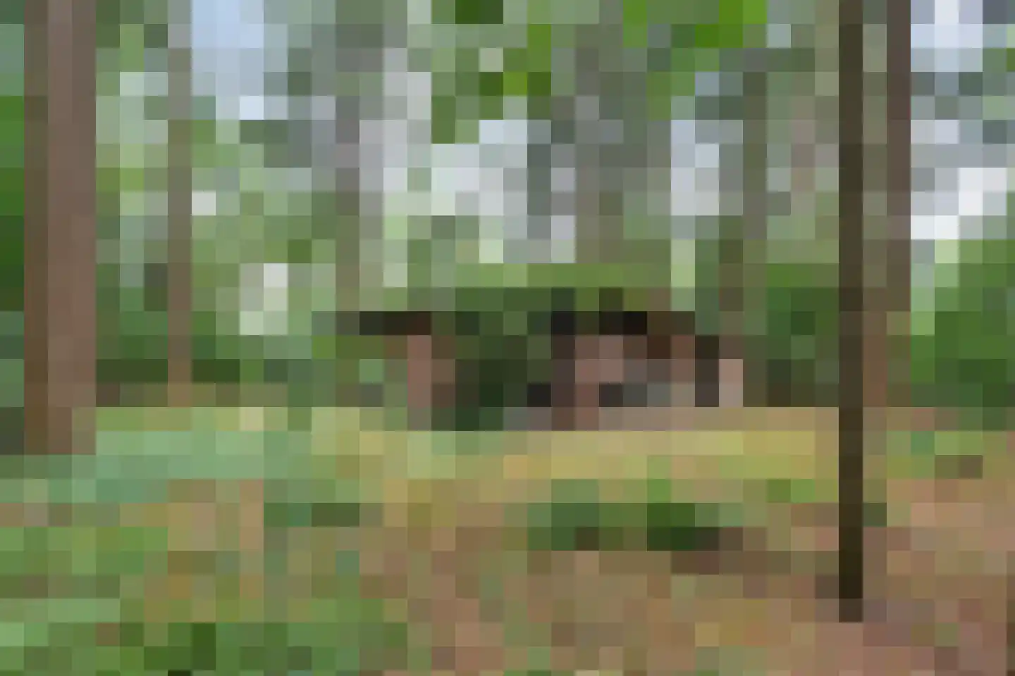 Hogeveldsweg 26 323 Giethmen thumbnail 4