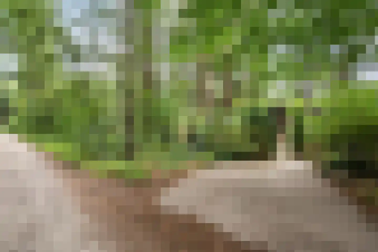 Hogeveldsweg 26 323 Giethmen thumbnail 6