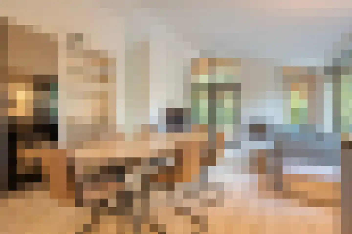 Hogeveldsweg 26 R306 Giethmen thumbnail 11