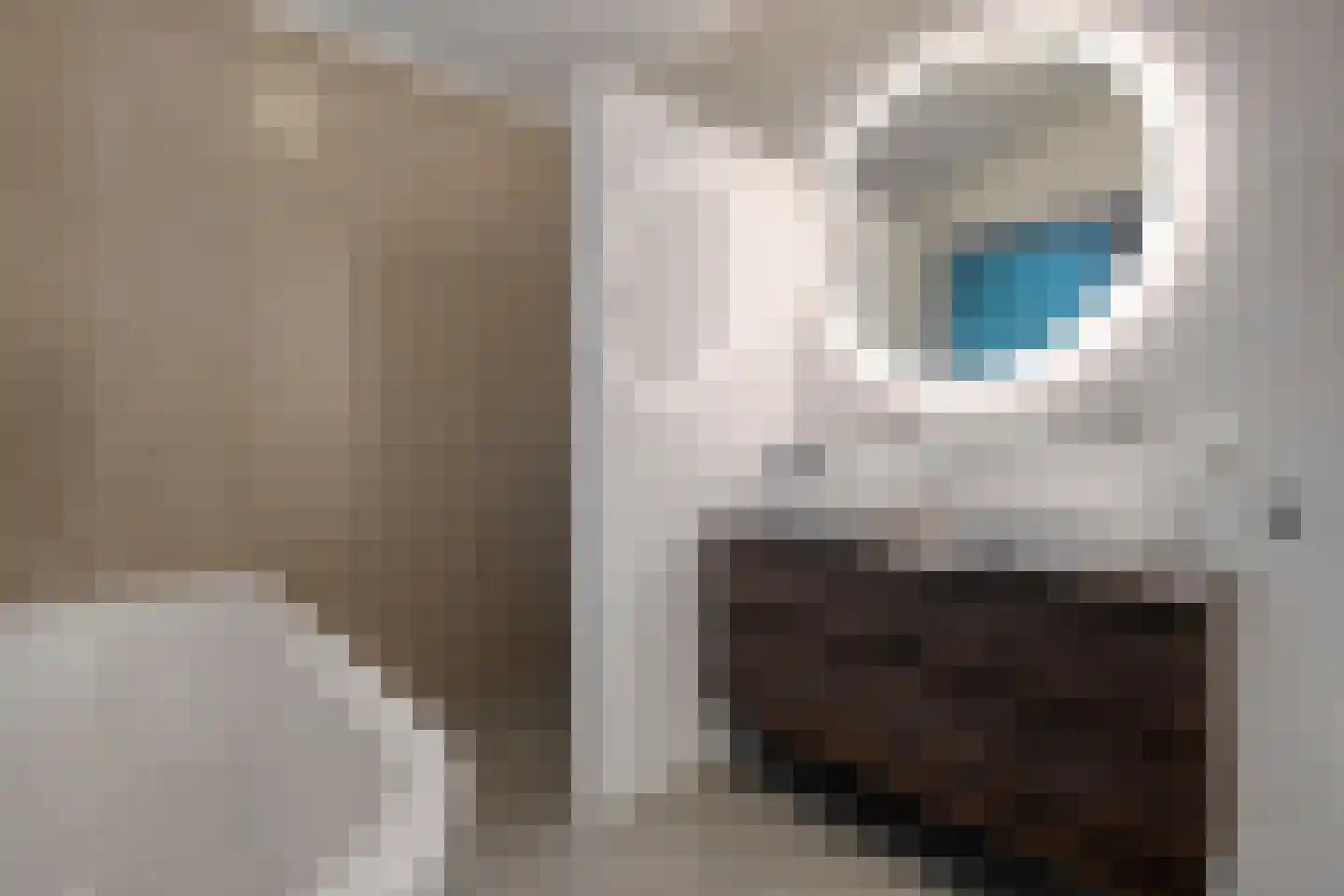Hogeveldsweg 26 R306 Giethmen thumbnail 24