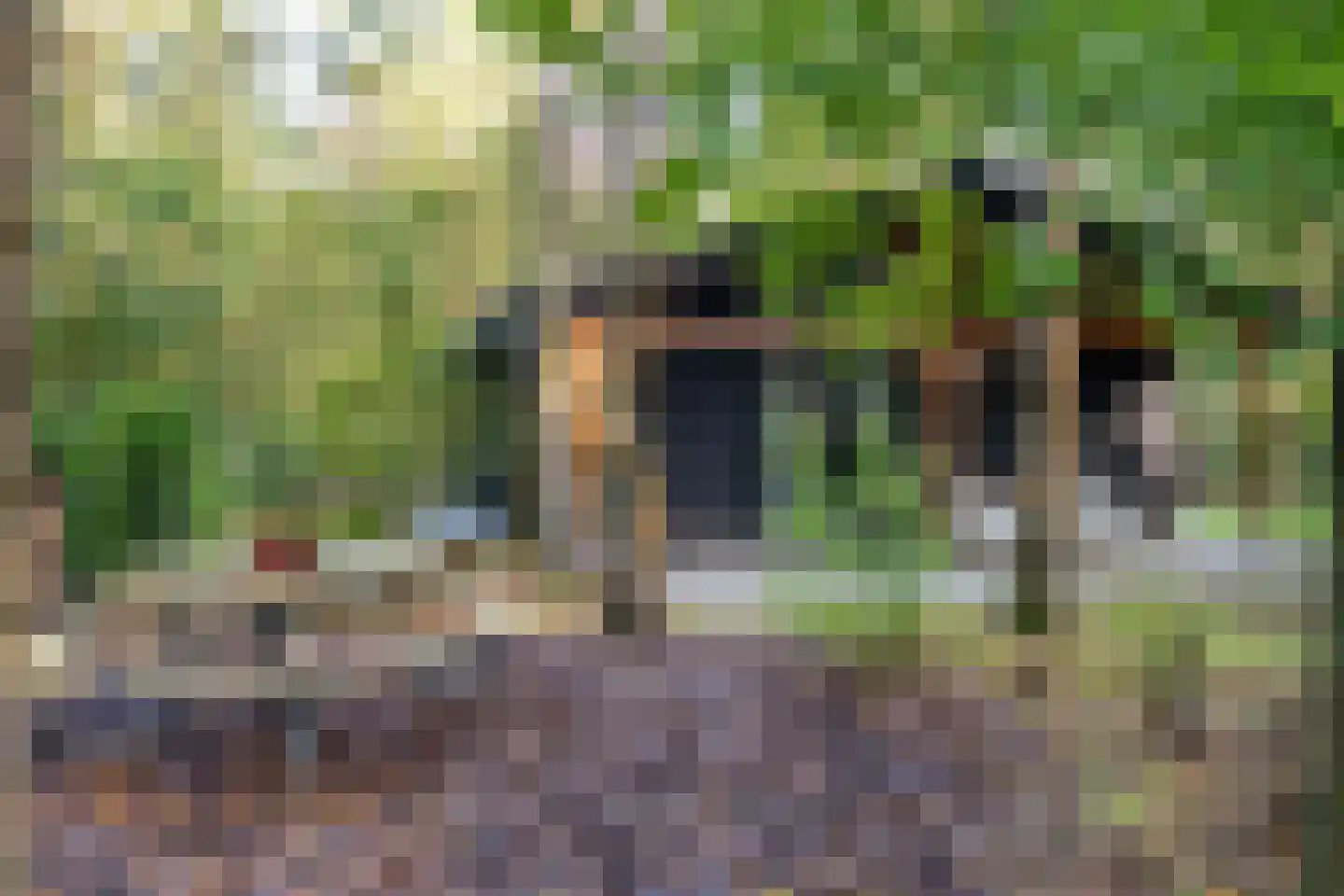 Hogeveldsweg 26 R306 Giethmen thumbnail 34