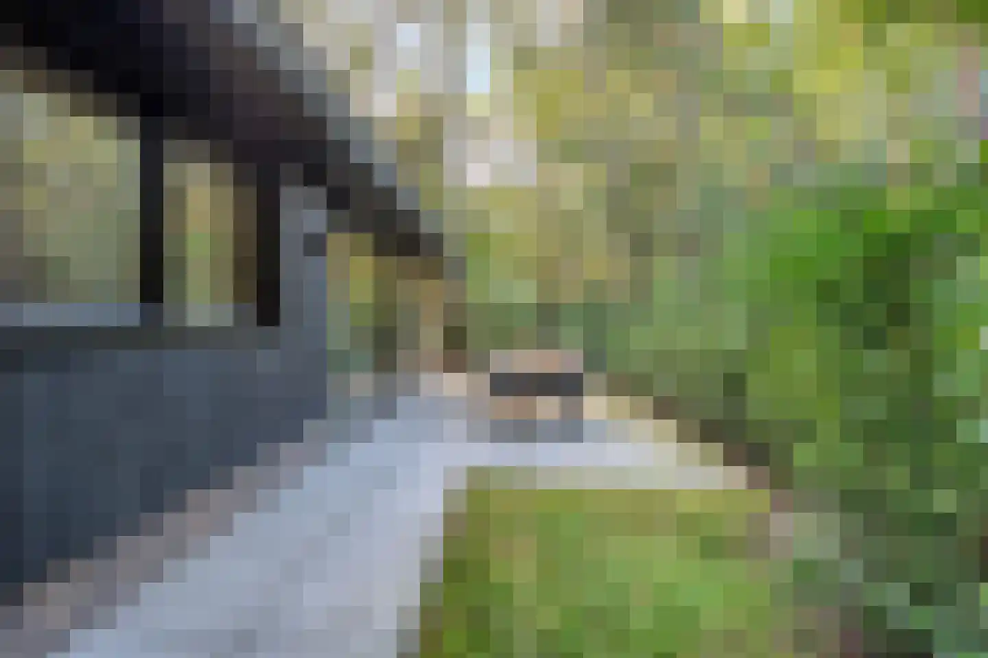 Hogeveldsweg 26 R306 Giethmen thumbnail 36