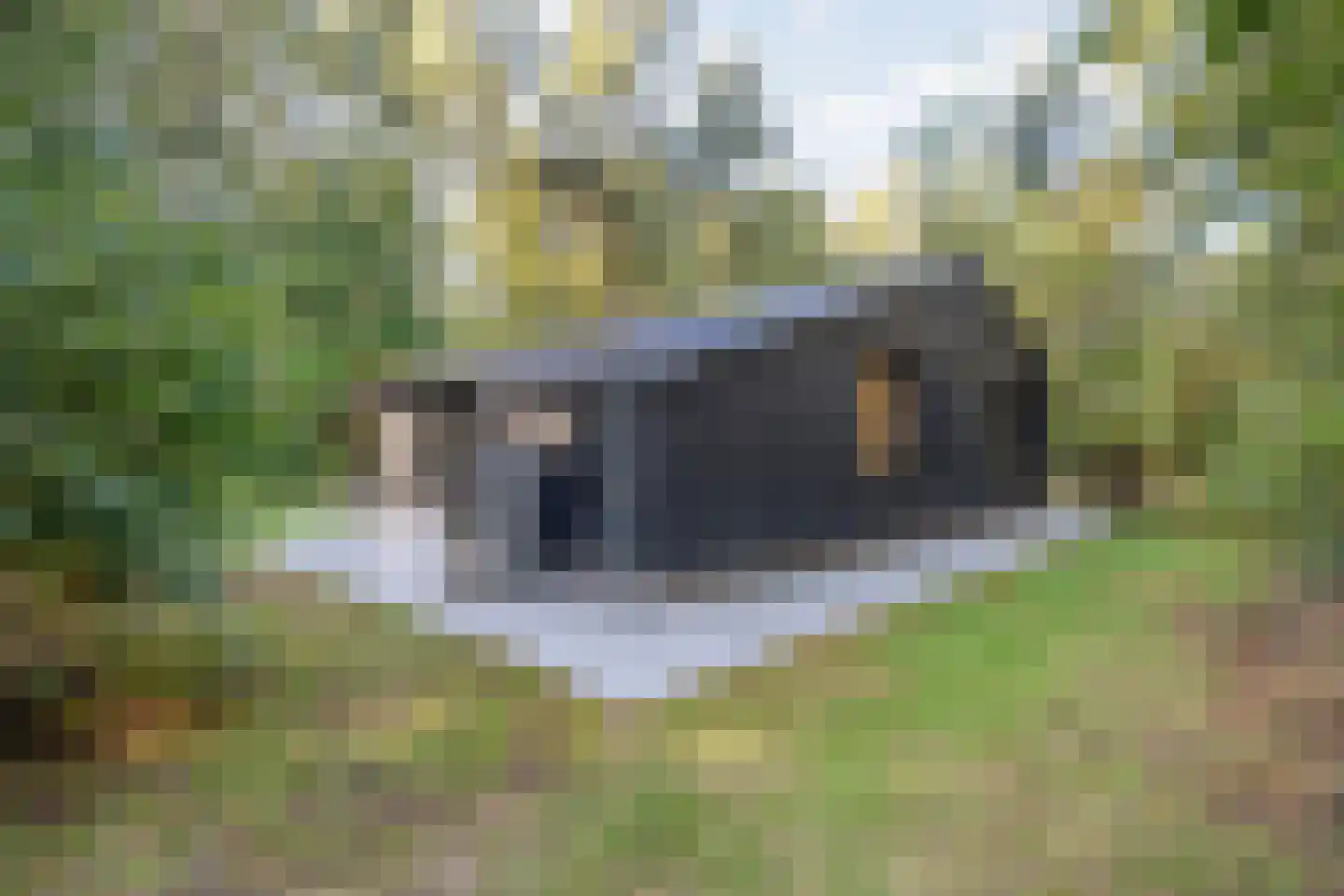 Hogeveldsweg 26 R306 Giethmen thumbnail 37