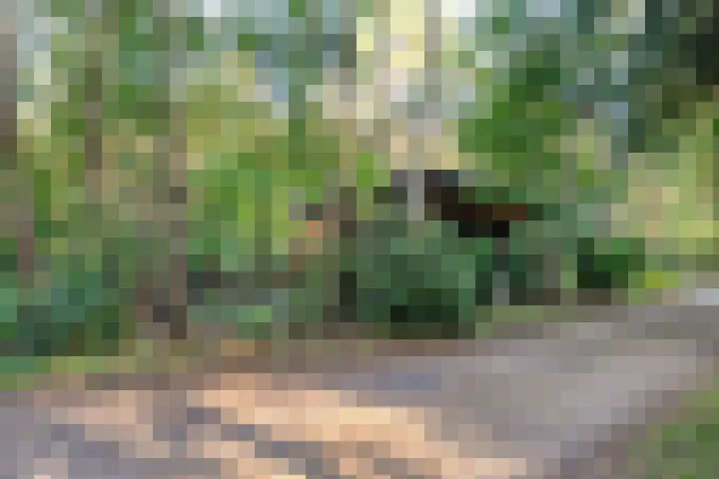 Hogeveldsweg 26 R306 Giethmen thumbnail 38