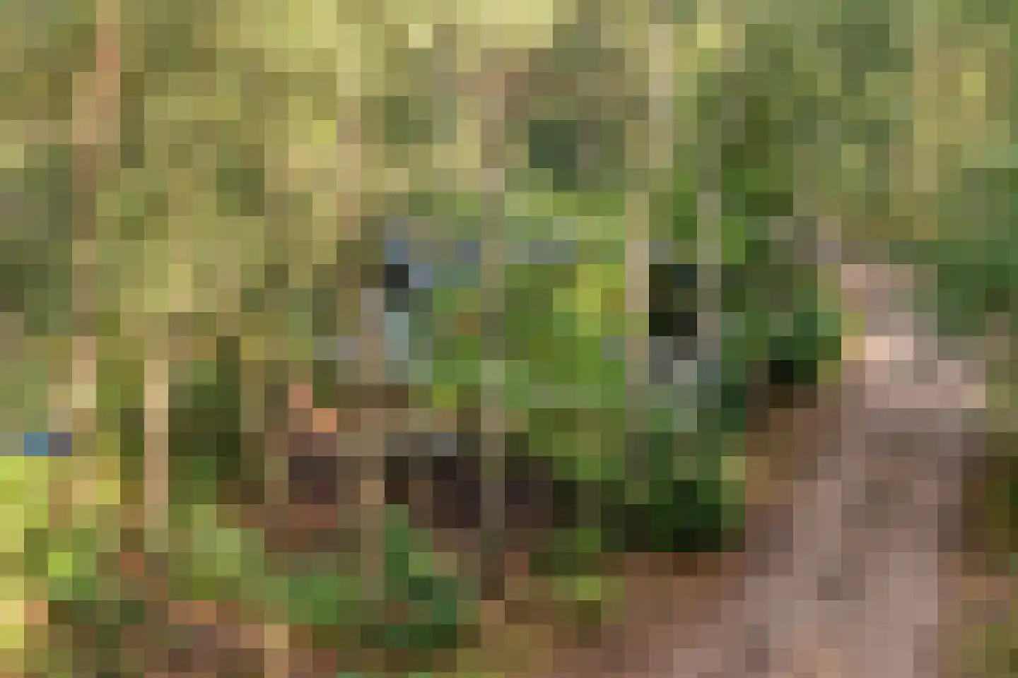 Hogeveldsweg 26 R306 Giethmen thumbnail 39