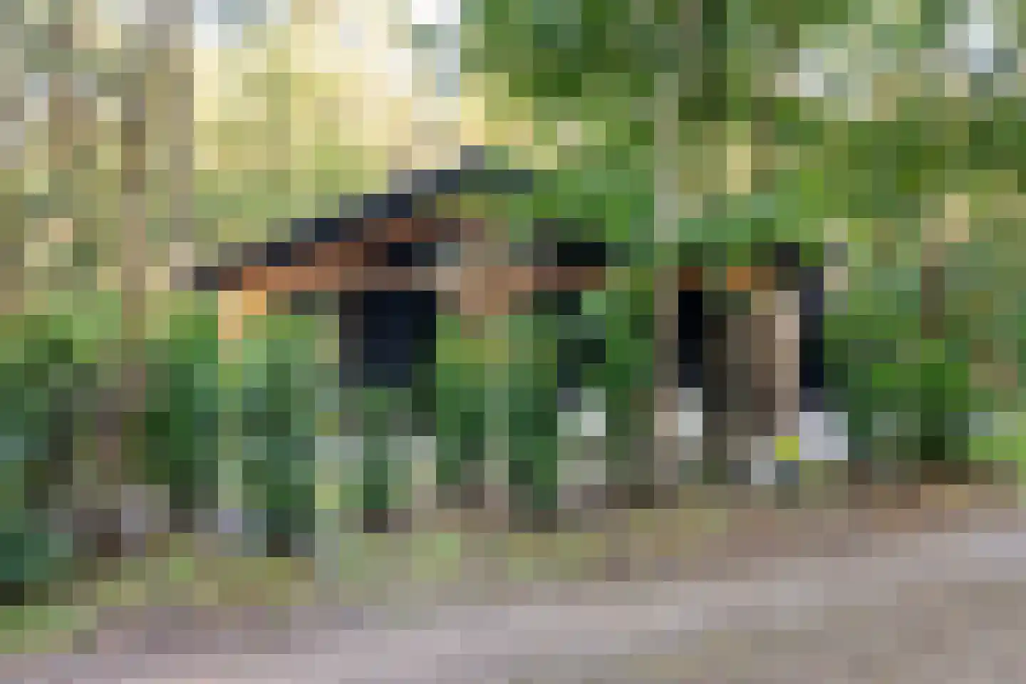 Hogeveldsweg 26 R306 Giethmen thumbnail 4