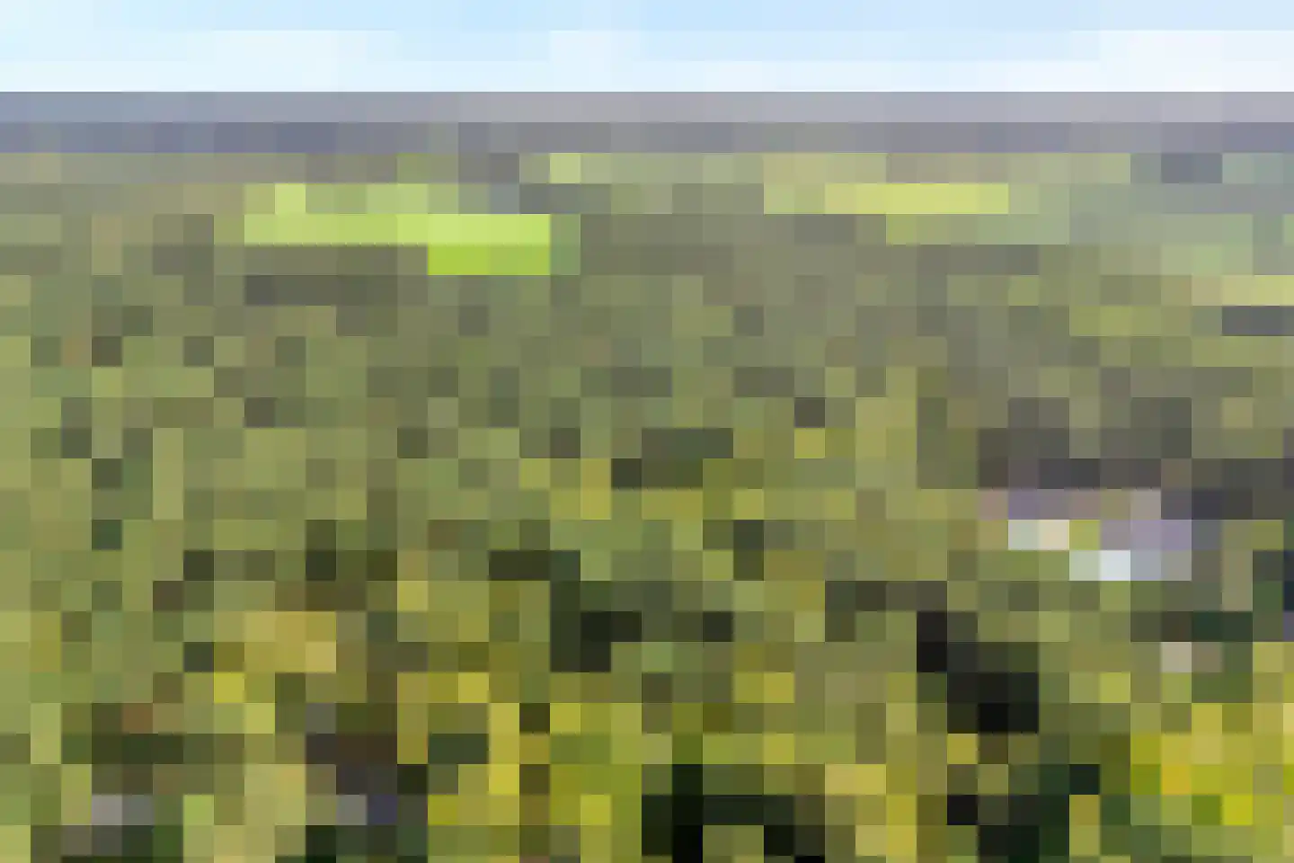 Hogeveldsweg 26 R306 Giethmen thumbnail 46