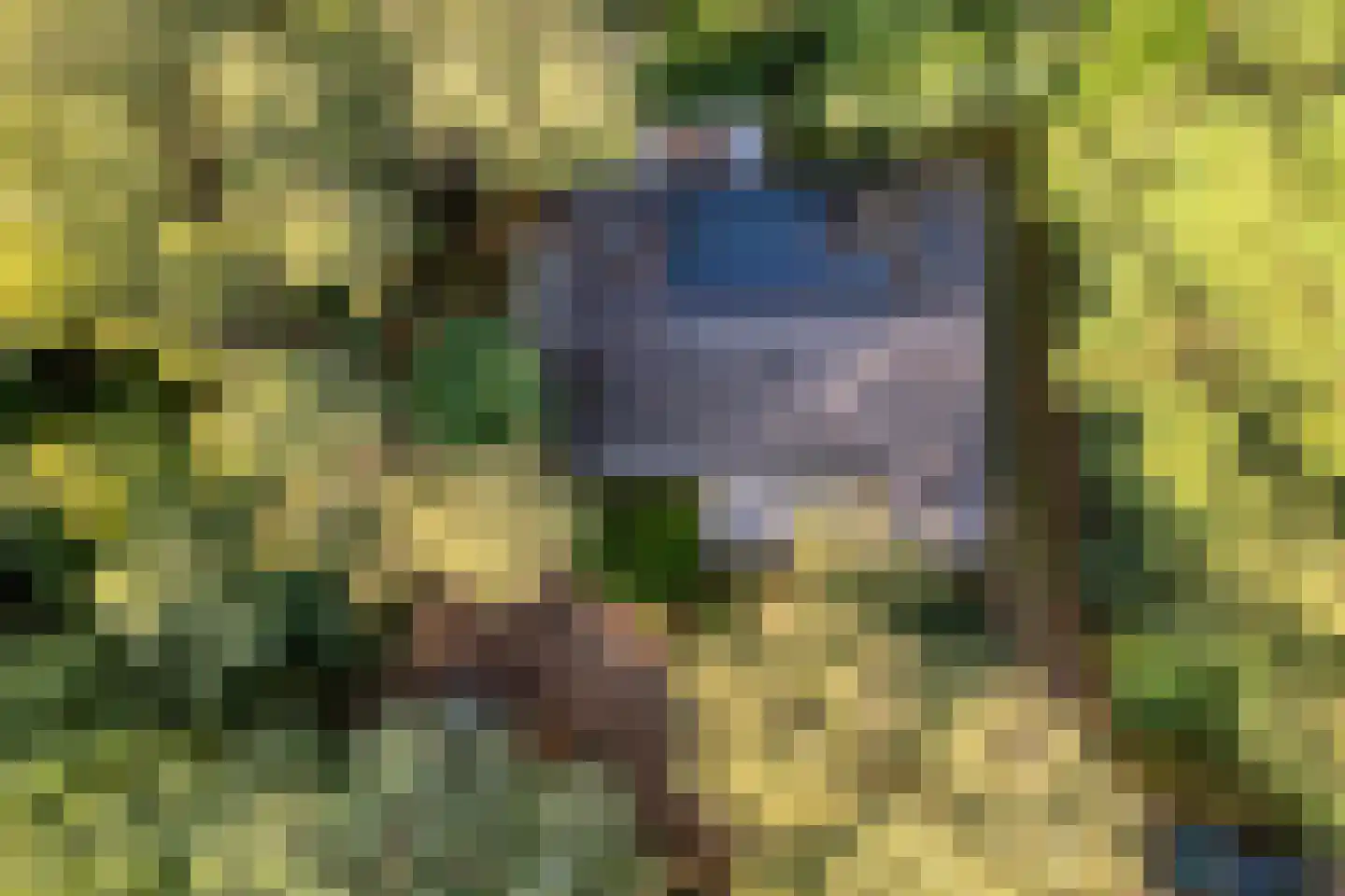 Hogeveldsweg 26 R306 Giethmen thumbnail 5