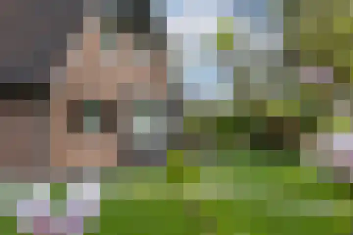Hogeveldsweg 8 Deurningen thumbnail 10