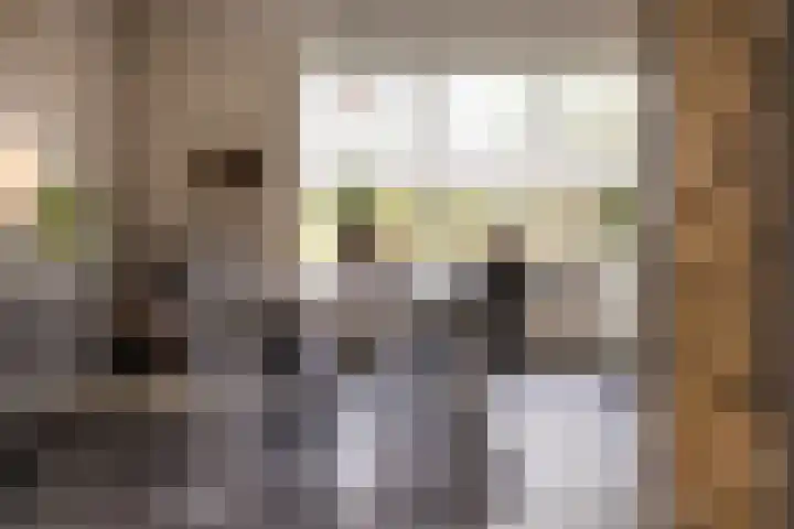 Hogeveldsweg 8 Deurningen thumbnail 18