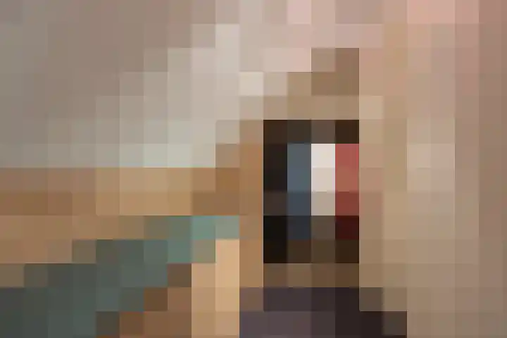 Hogeveldsweg 8 Deurningen thumbnail 35