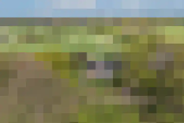 Hogeveldsweg 8 Deurningen thumbnail 4