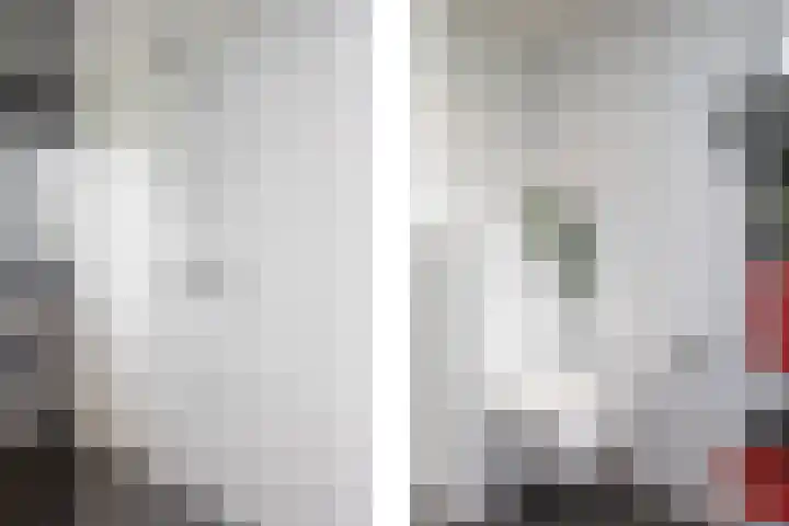Hogeveldsweg 8 Deurningen thumbnail 40