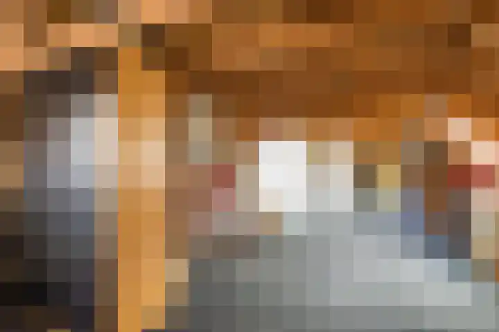 Hogeveldsweg 8 Deurningen thumbnail 41