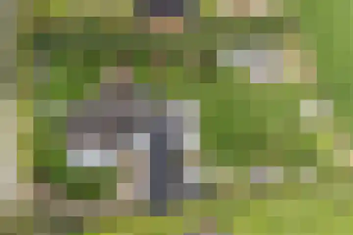 Hogeveldsweg 8 Deurningen thumbnail 42