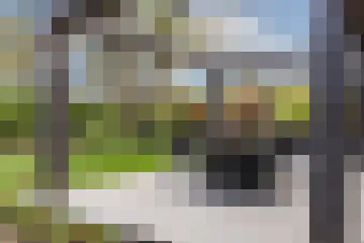 Hogeveldsweg 8 Deurningen thumbnail 44