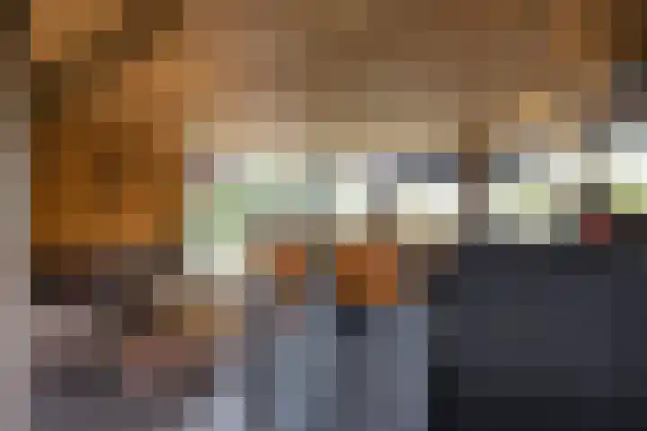 Hogeveldsweg 8 Deurningen thumbnail 48