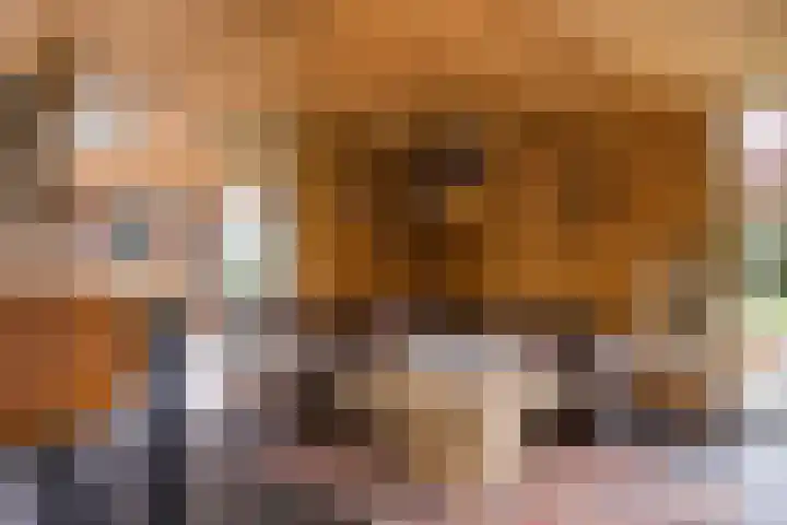 Hogeveldsweg 8 Deurningen thumbnail 49