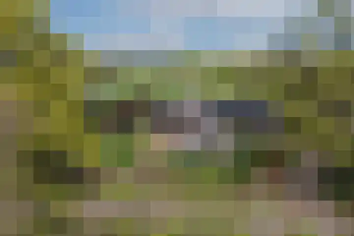 Hogeveldsweg 8 Deurningen thumbnail 5