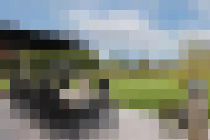 Hogeveldsweg 8 Deurningen thumbnail 55