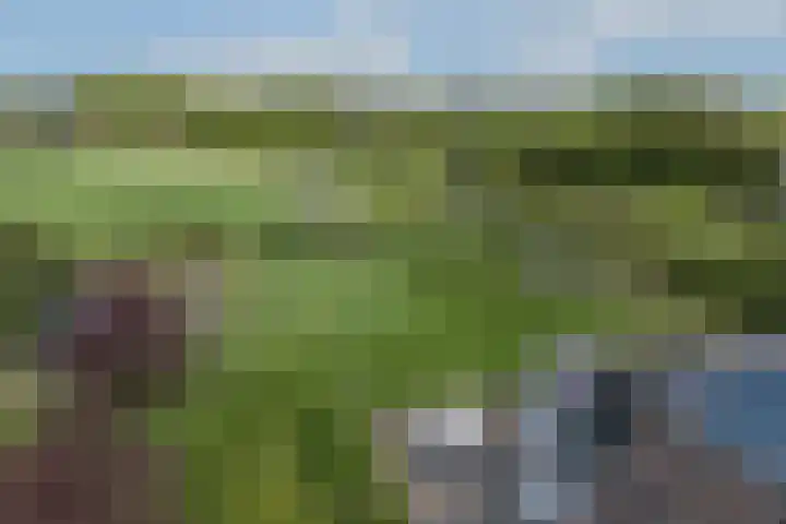 Hogeveldsweg 8 Deurningen thumbnail 56
