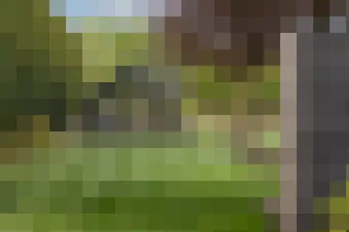 Hogeveldsweg 8 Deurningen thumbnail 57