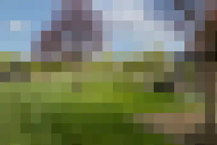 Hogeveldsweg 8 Deurningen thumbnail 58