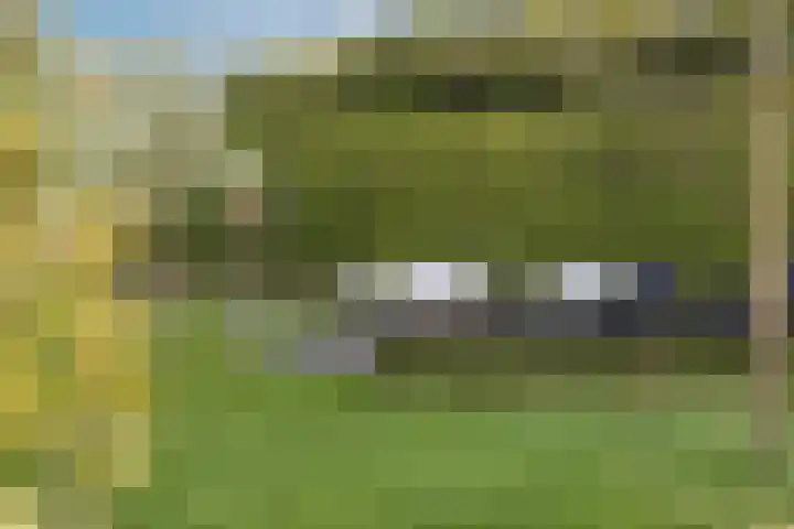 Hogeveldsweg 8 Deurningen thumbnail 59
