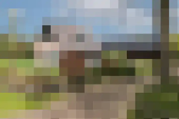 Hogeveldsweg 8 Deurningen thumbnail 6